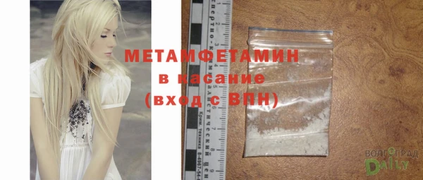индика Пестово