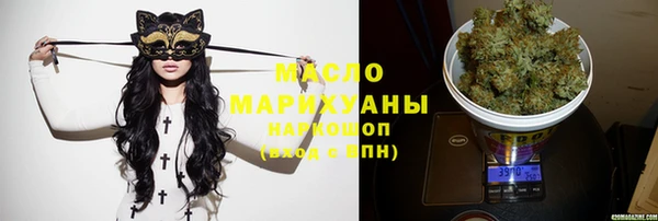 индика Пестово