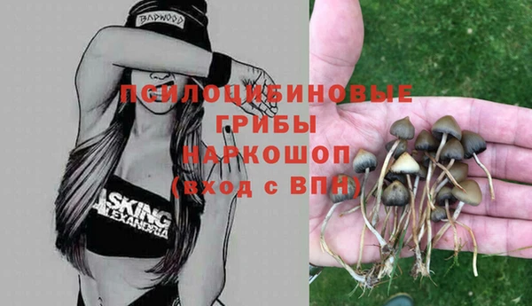 COCAINE Арсеньев
